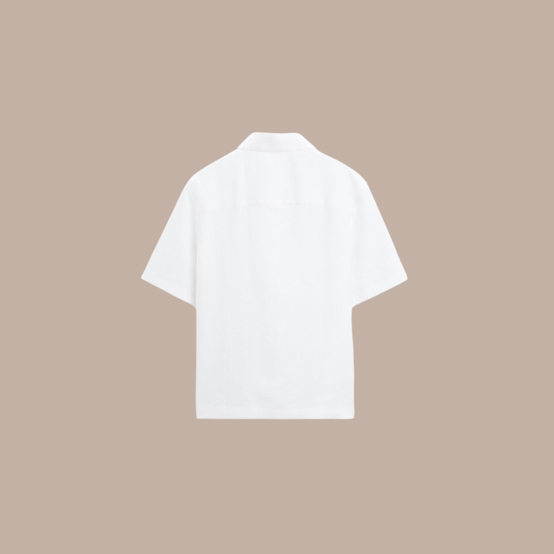 Camicie di lino da uomo
